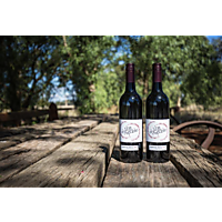 Shiraz Republic image